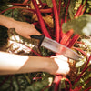 Fiskars Hori Hori Garden Tool
