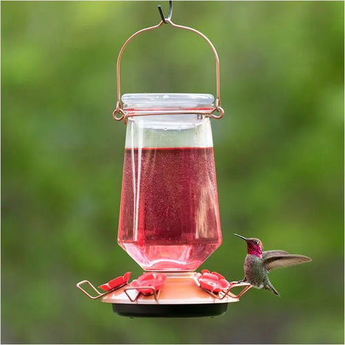 Perky-Pet® Ready-to-Use Red Hummingbird Nectar