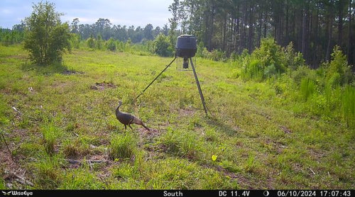 WiseEye MC-2 Data Cam