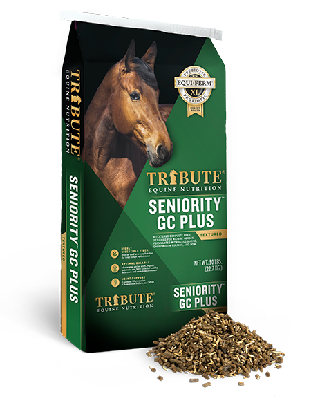 Tribute Seniority™ GC Plus