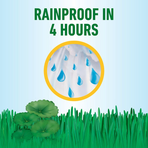 Roundup® for Southern Lawns