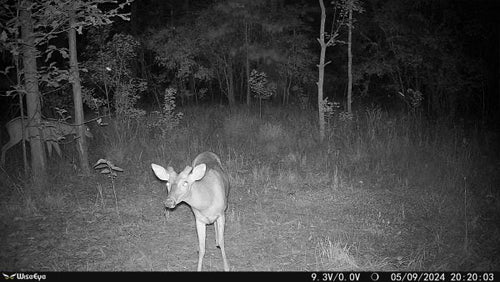 WiseEye MC-2 Data Cam