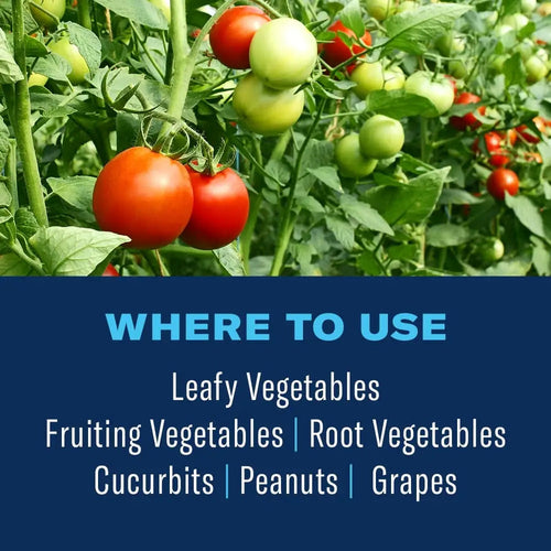 BIOADVANCED Tomato and Vegetable Insect Killer