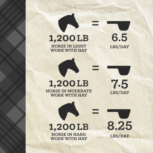 Nutrena® ProForce® Fuel Horse Feed