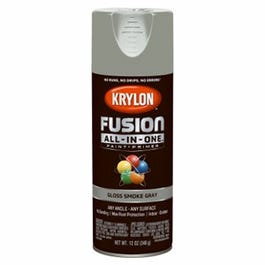 Fusion All-In-One Spray Paint + Primer, Gloss Smoke Gray, 12-oz.