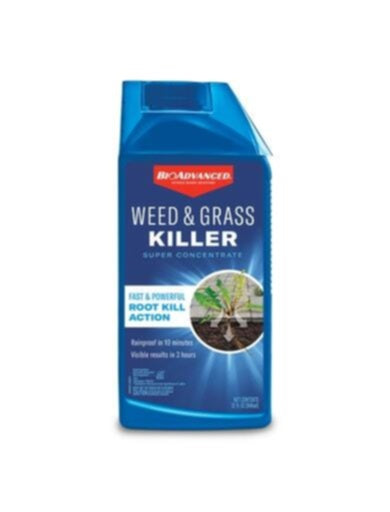BioAdvanced Weed & Grass Killer (32 oz)